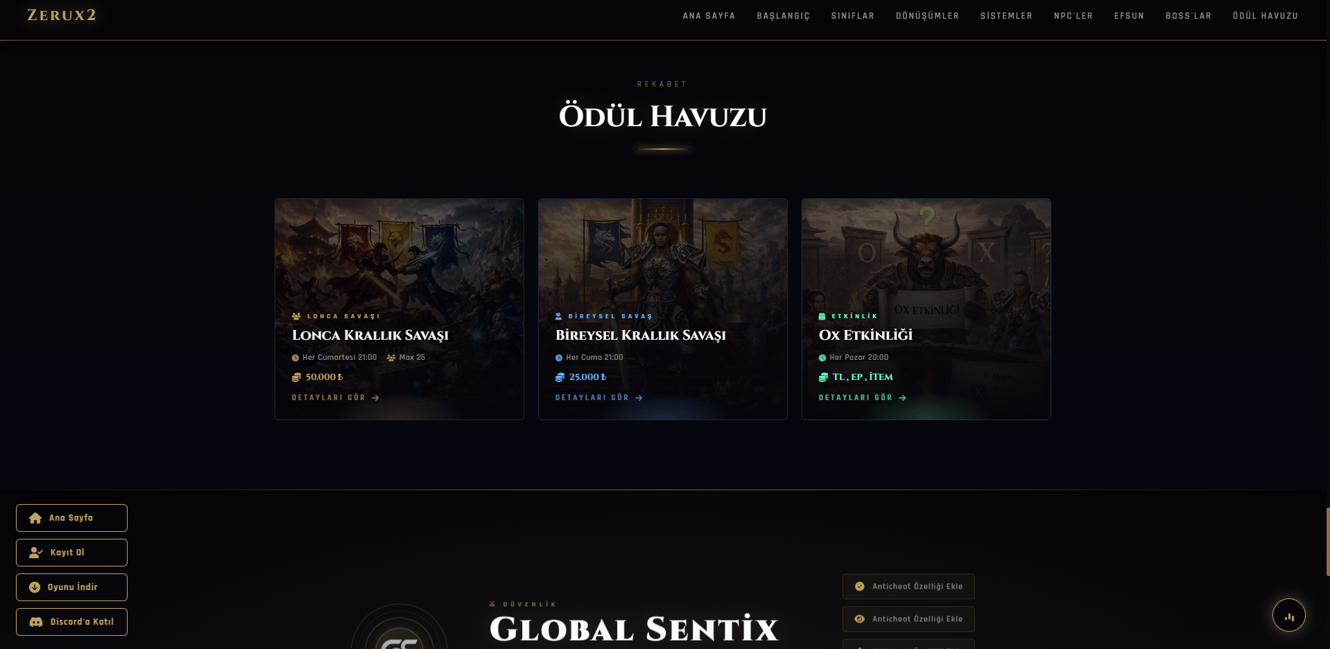 Profesyonel Tanıtım Paneli